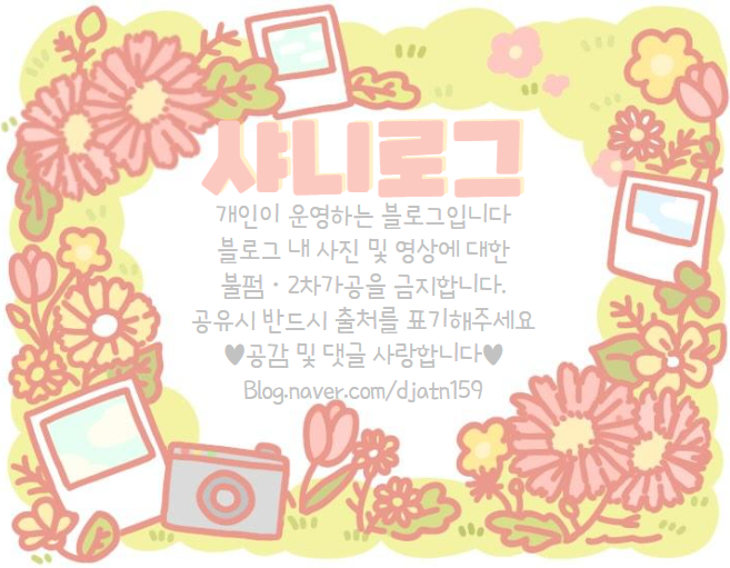 자성세탁 이미지