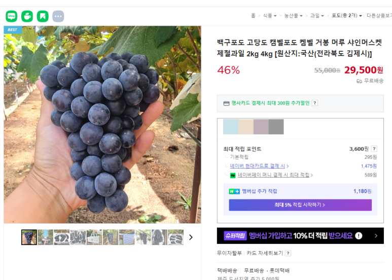 투데이샤인 이미지