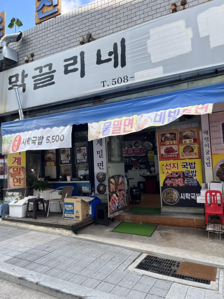 막끌리네 이미지
