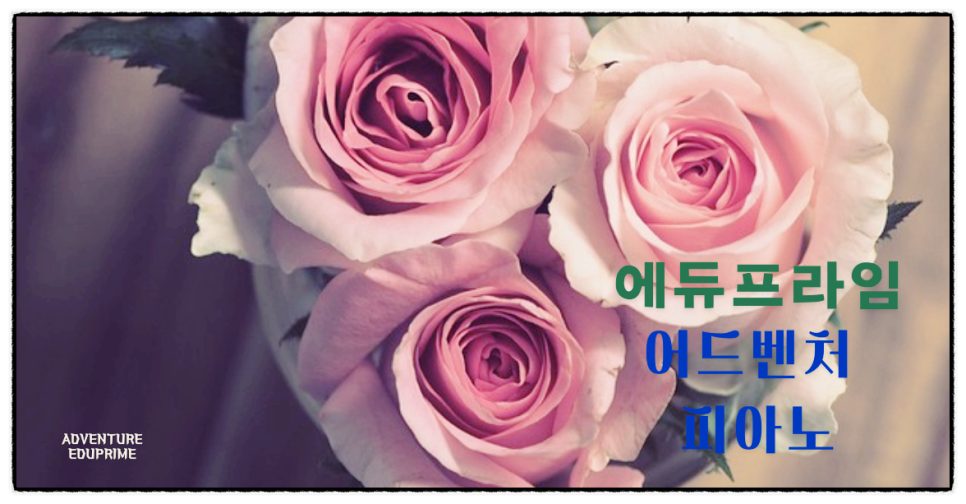 에듀프라임부산남구지사 이미지