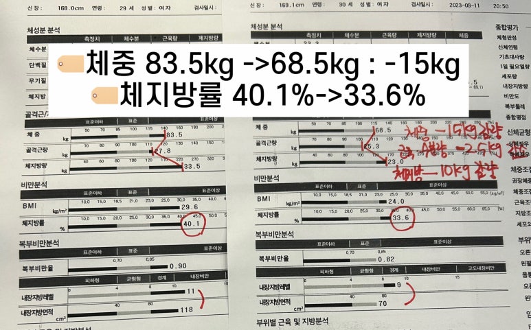 라이언짐 이미지