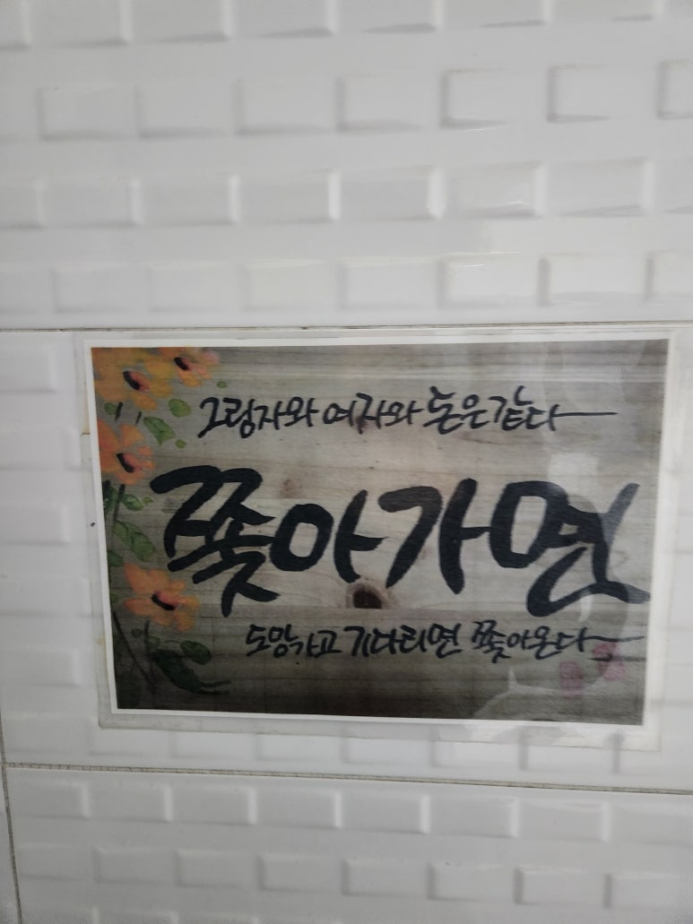 월드출장세차 이미지