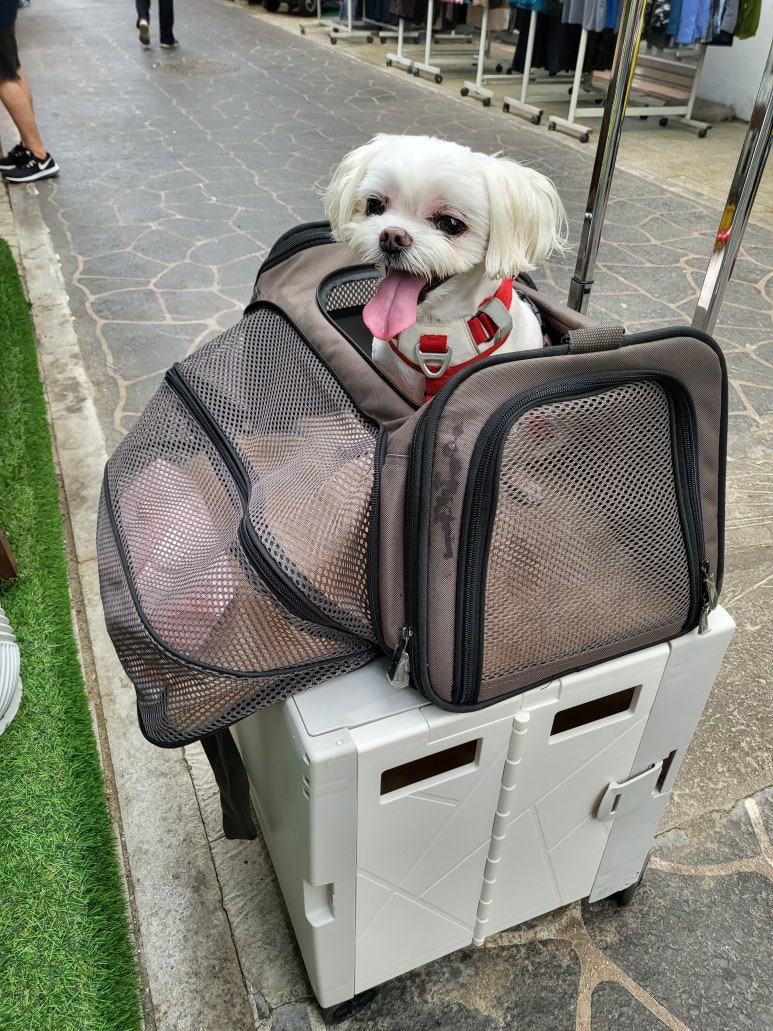 횡성김밥 이미지