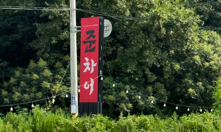 준차이 이미지