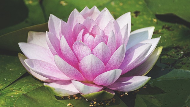 제이발레무용학원 이미지