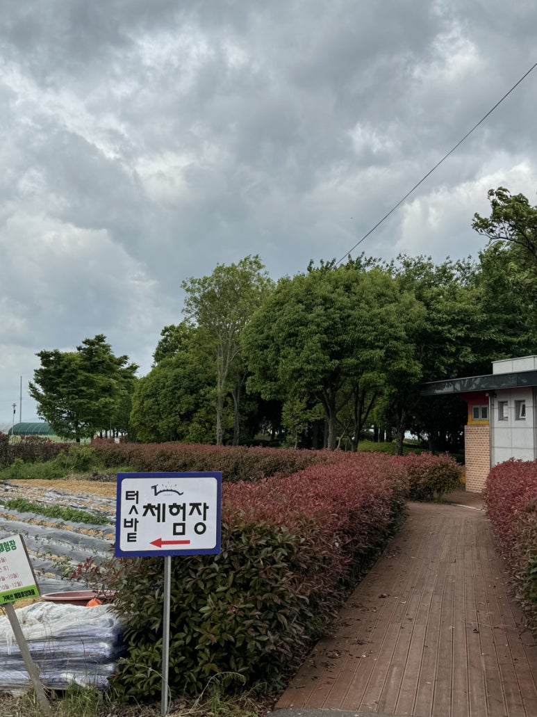 거북선마을 캠핑장 이미지