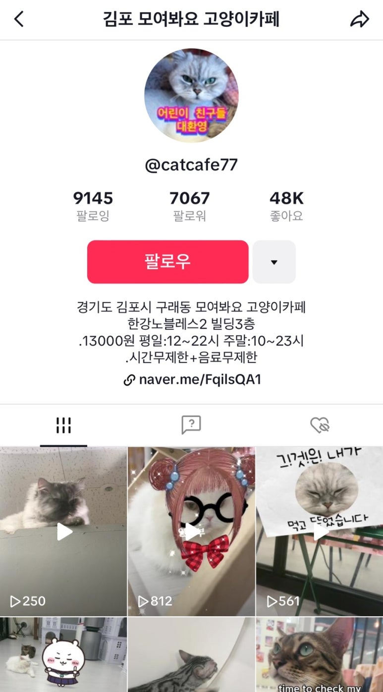 모여봐요 고양이카페 이미지