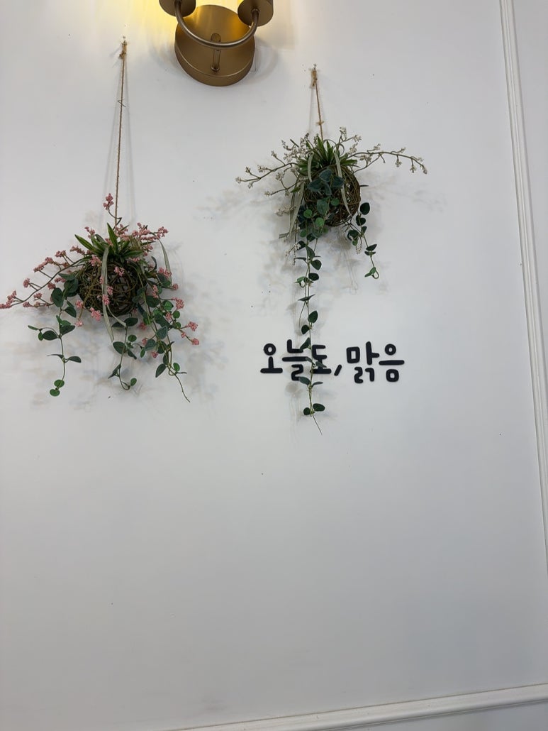 카페니모 이미지