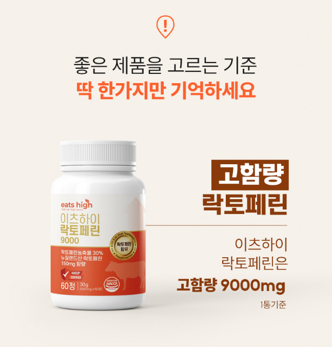 임팩트디자인 이미지
