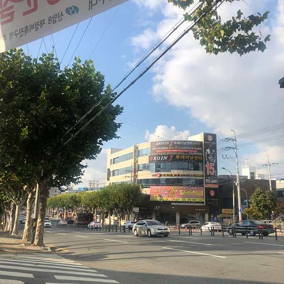 브로인제이 이미지