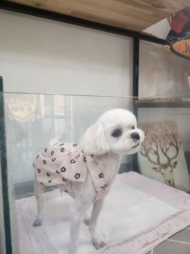 쥬니네일 이미지