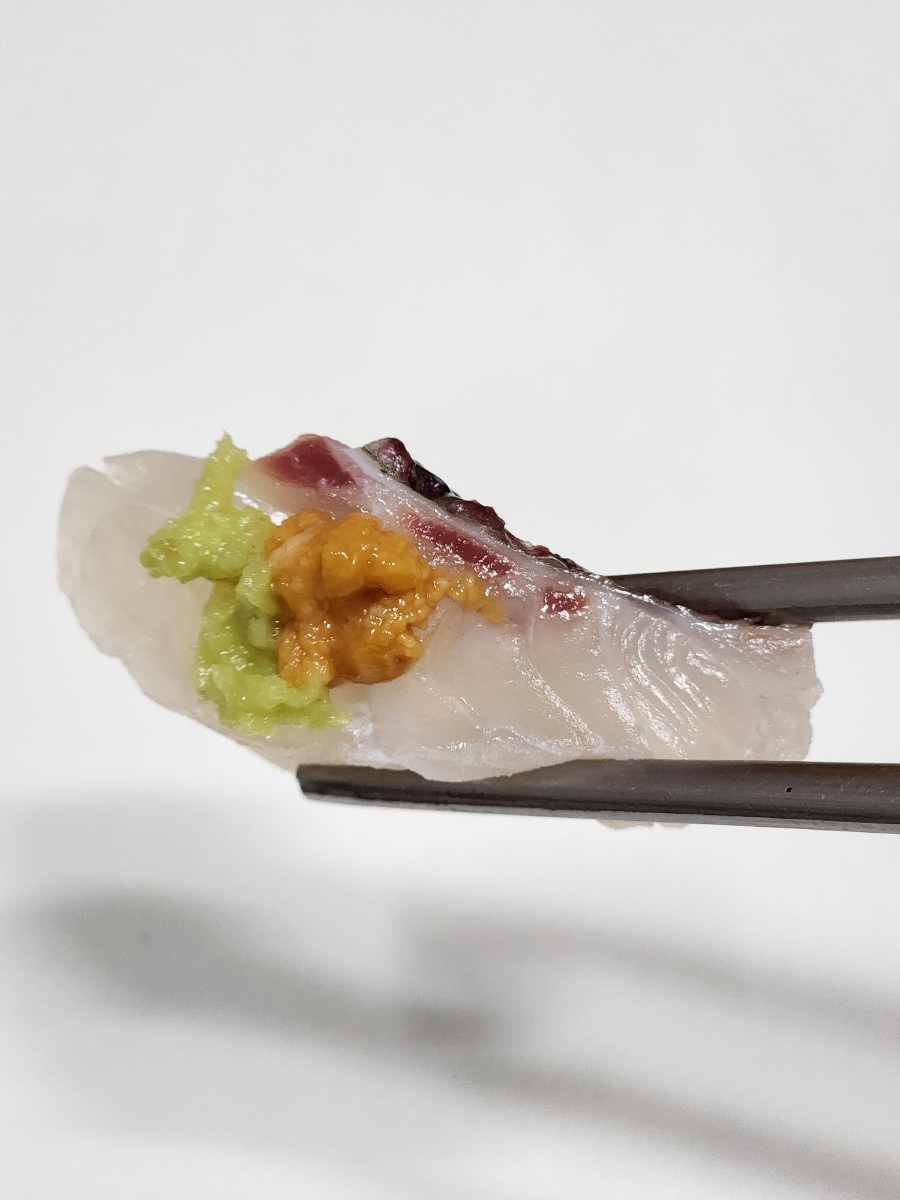 카이센세 사진 6