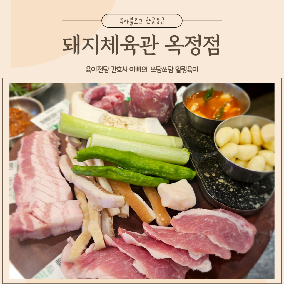 돼지체육관 이미지