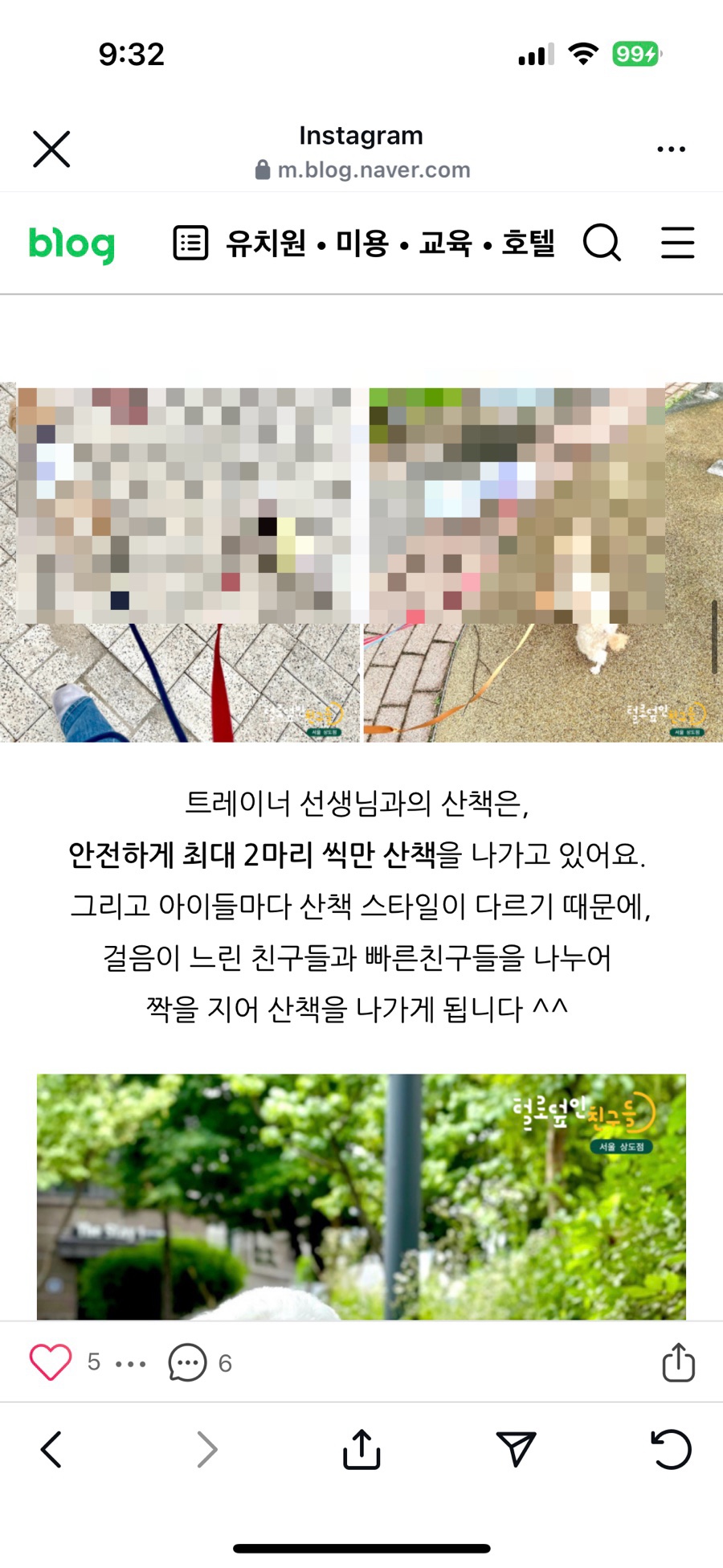 동작구 강아지 유치원 '털로덮인친구들' 원데이 체험 후기 — 사진 13