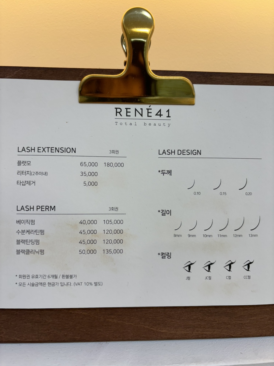 르네41 이미지