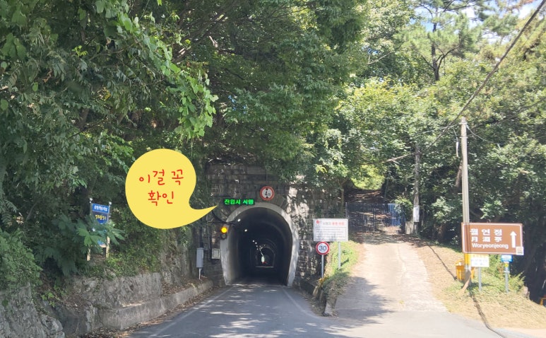 터널분식 이미지