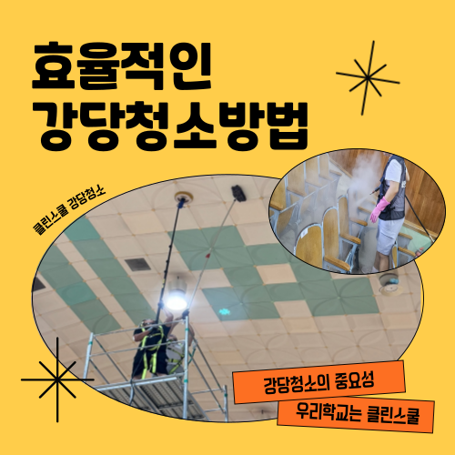 클린스쿨 부산 이미지