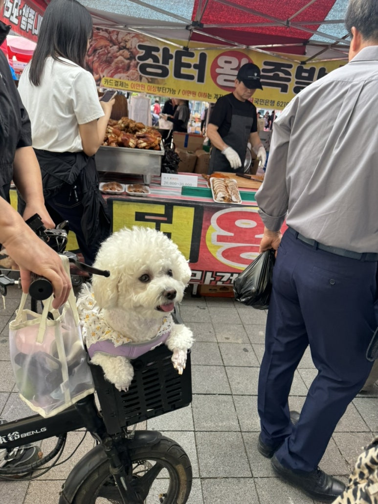 돼지꼬리천국 이미지