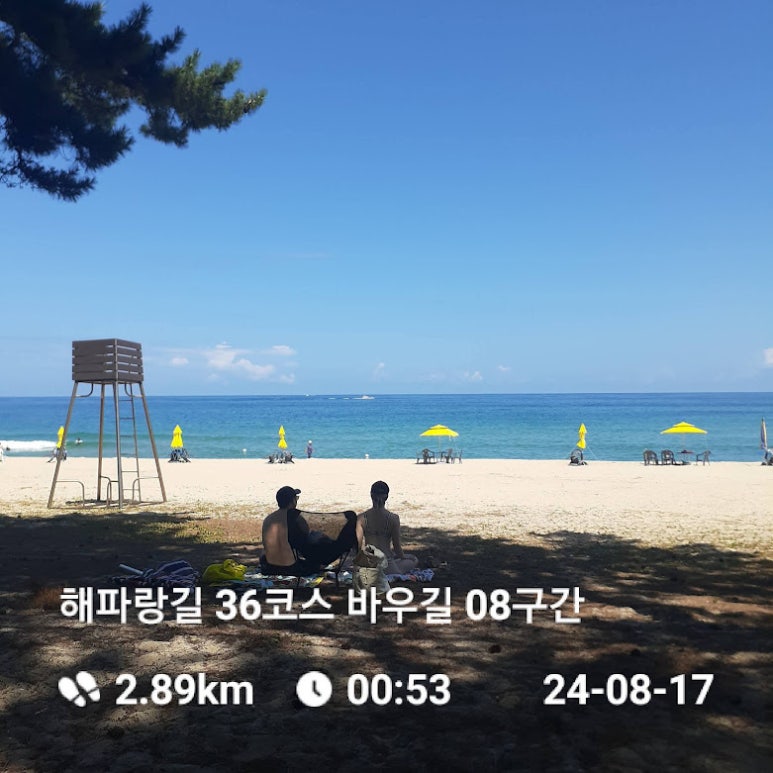 해파랑길 36코스 바우길 08구간 이미지