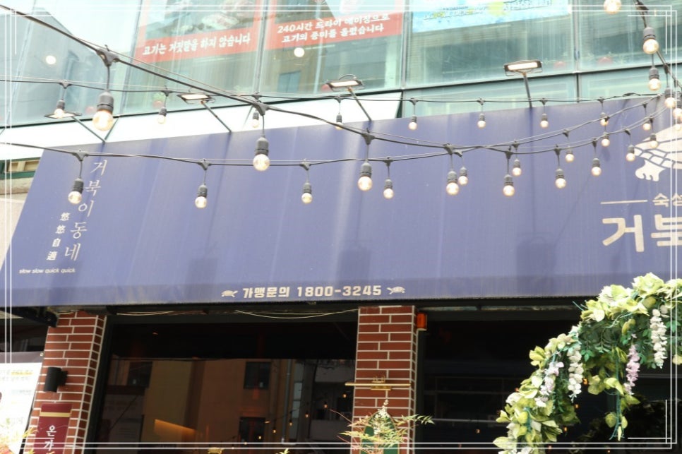 거북이동네창원 이미지