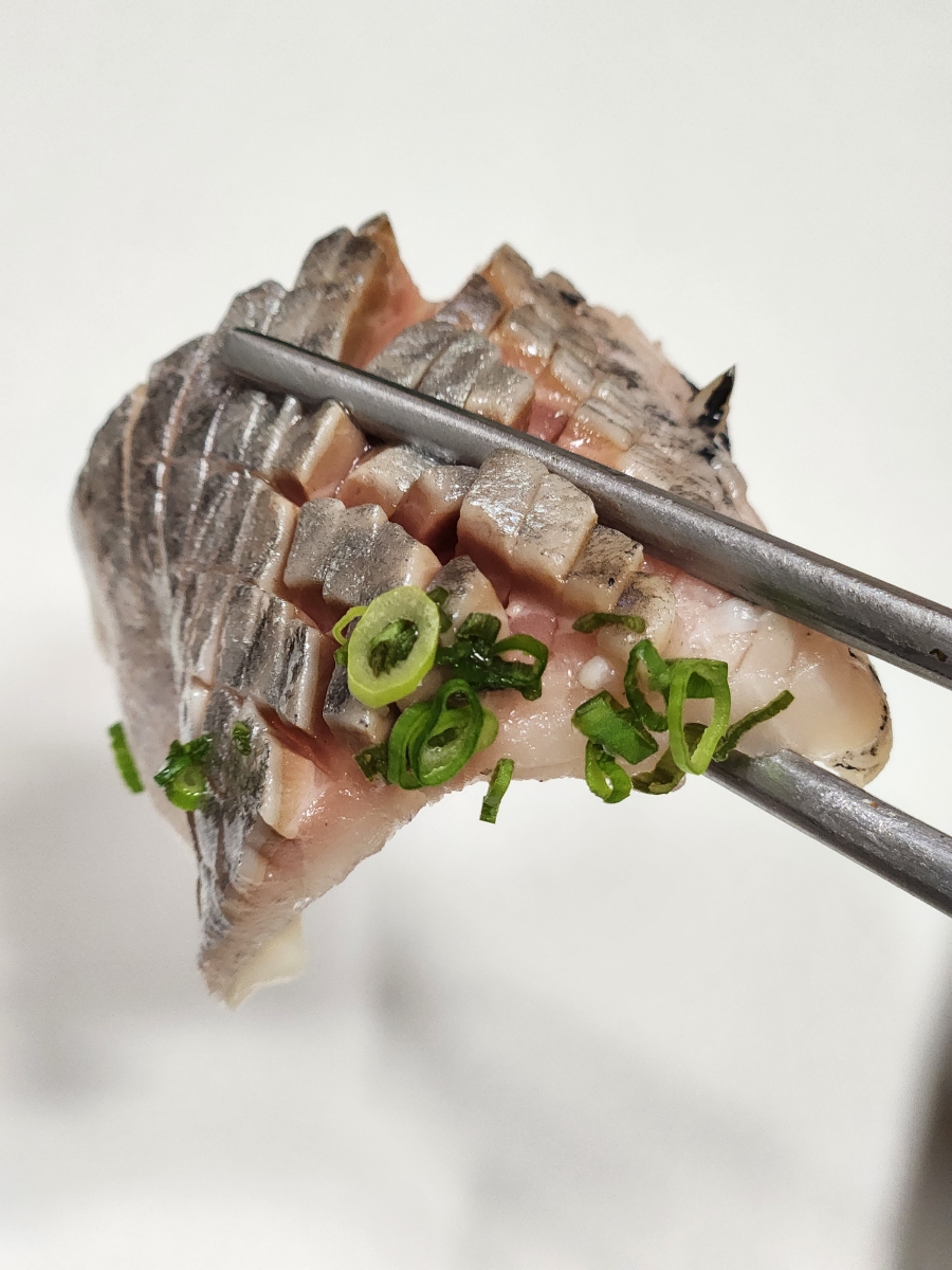 카이센세 사진 7