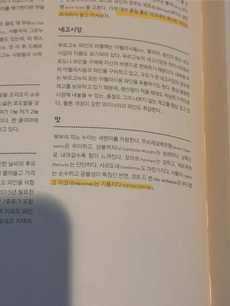 더오펠리 이미지