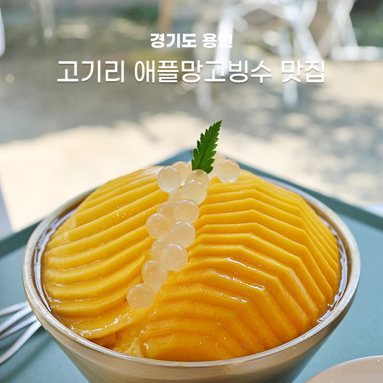 사육사스트릿 이미지