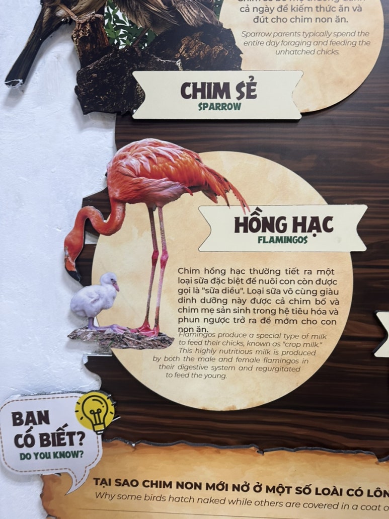 사파리쉼터 이미지