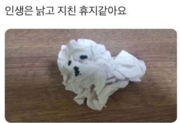 또나들이 이미지