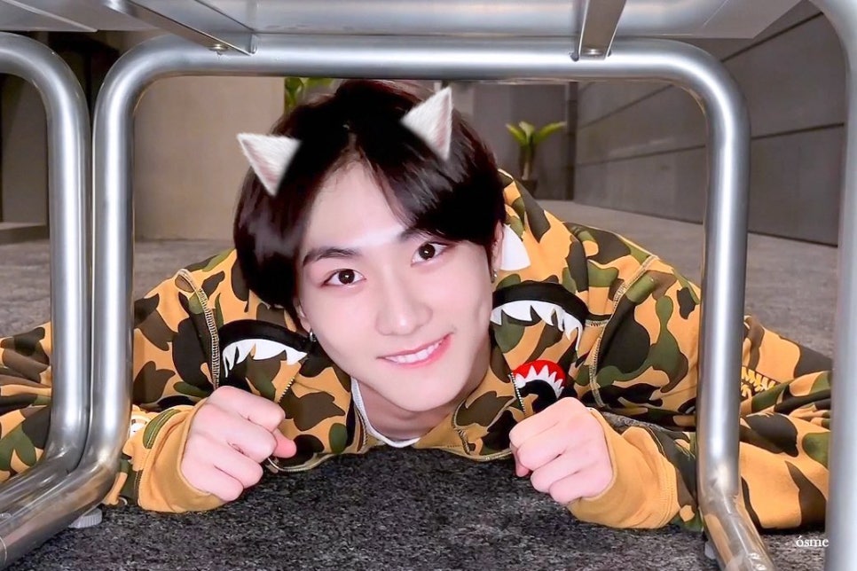 호시탐탐 이미지