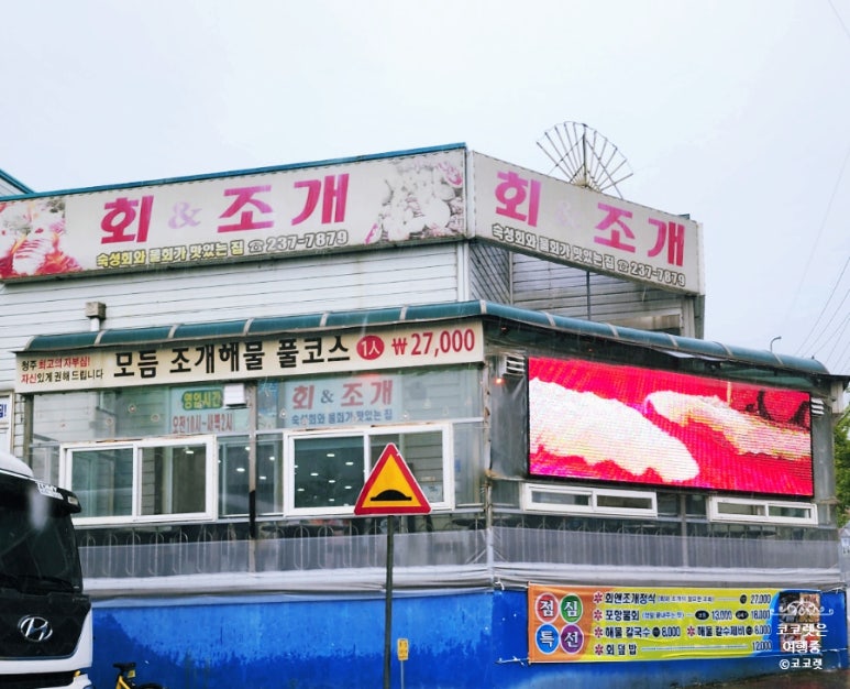 회앤조개 이미지