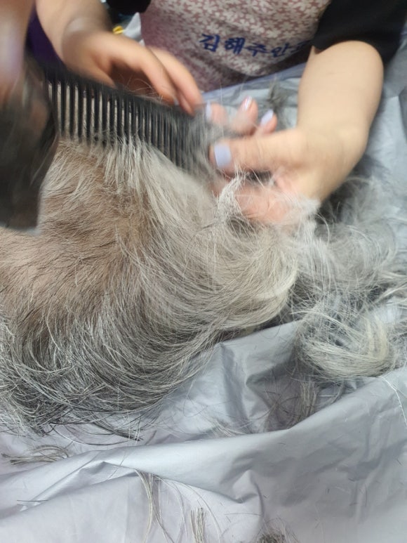 김해성모병원 이미지