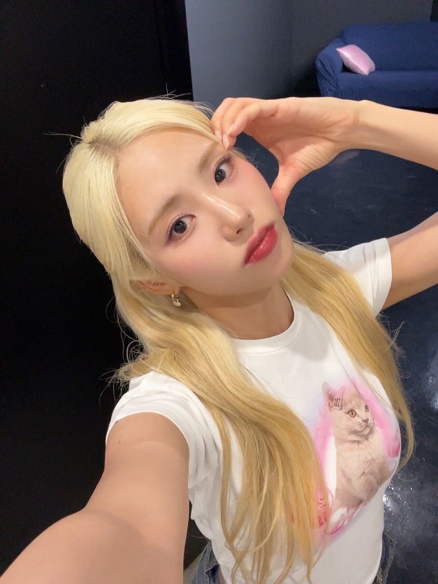 나인디테일 이미지