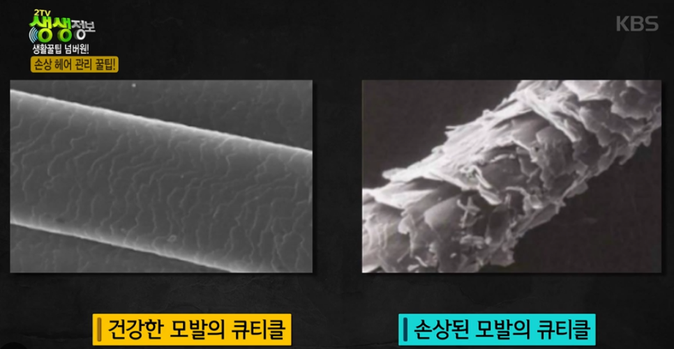 위그스투디오 이미지