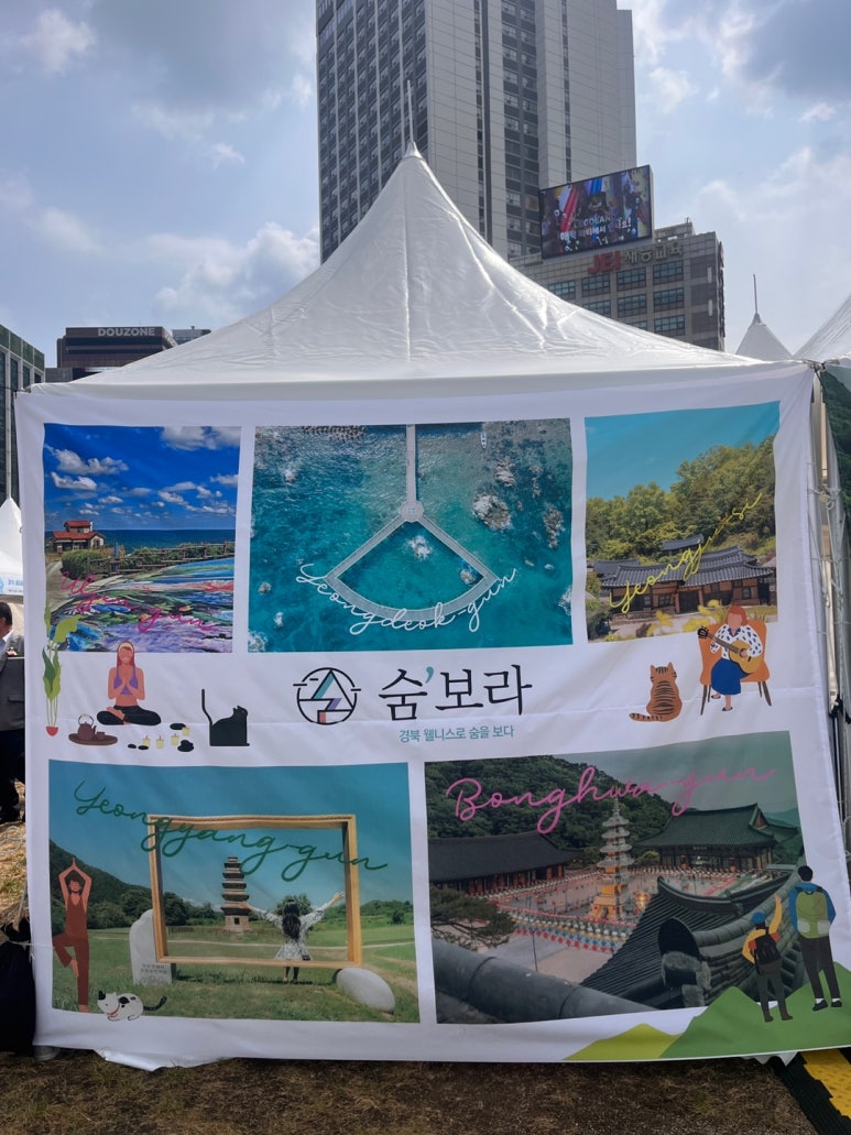 피엘디 이미지