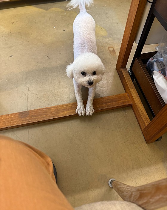 방긋네일 이미지