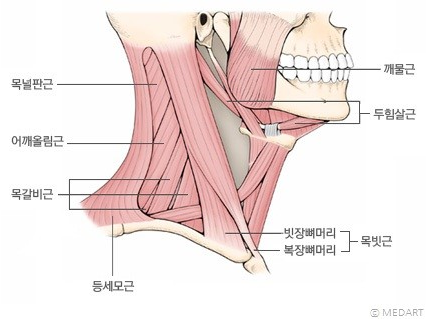 바이핏필라테스 이미지