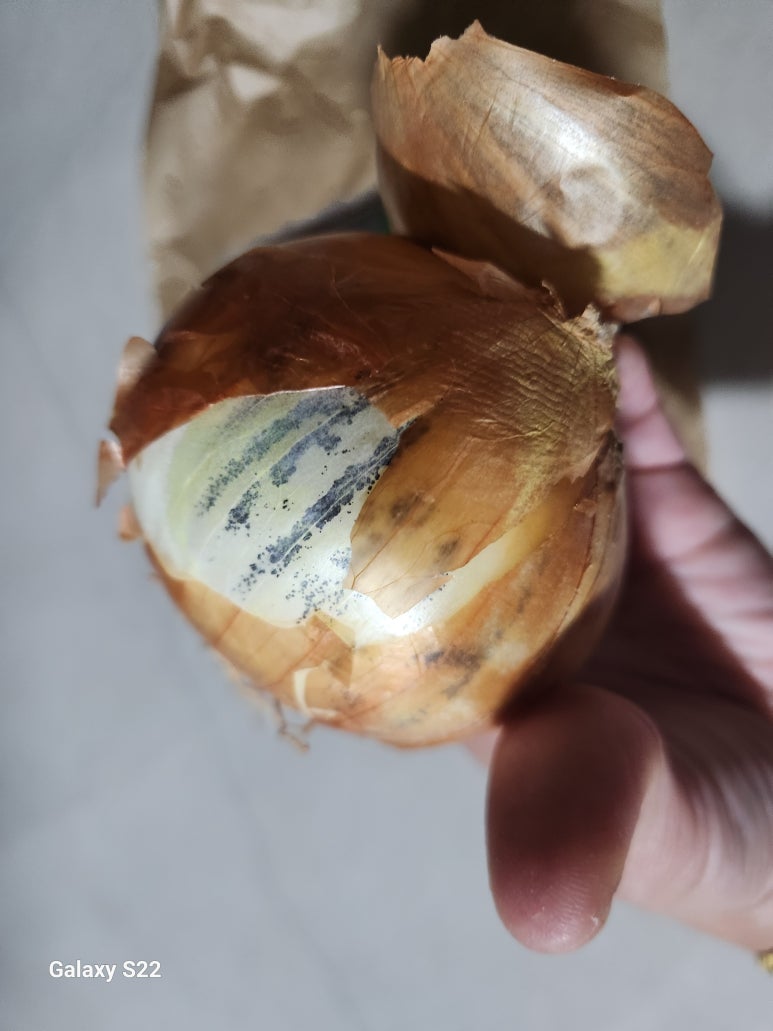 산지농산 이미지