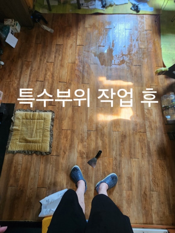 와이에스특수청소 이미지
