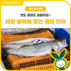 맛도 영양도 일품이요~ 👍성장발육에 좋은 제철 민어 바로가기