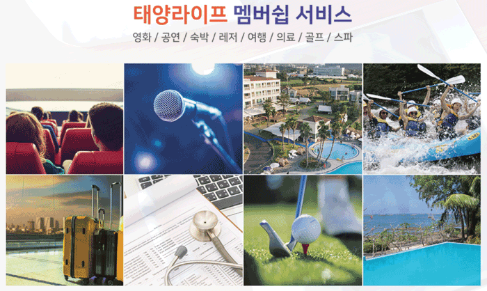태양라이프 이미지