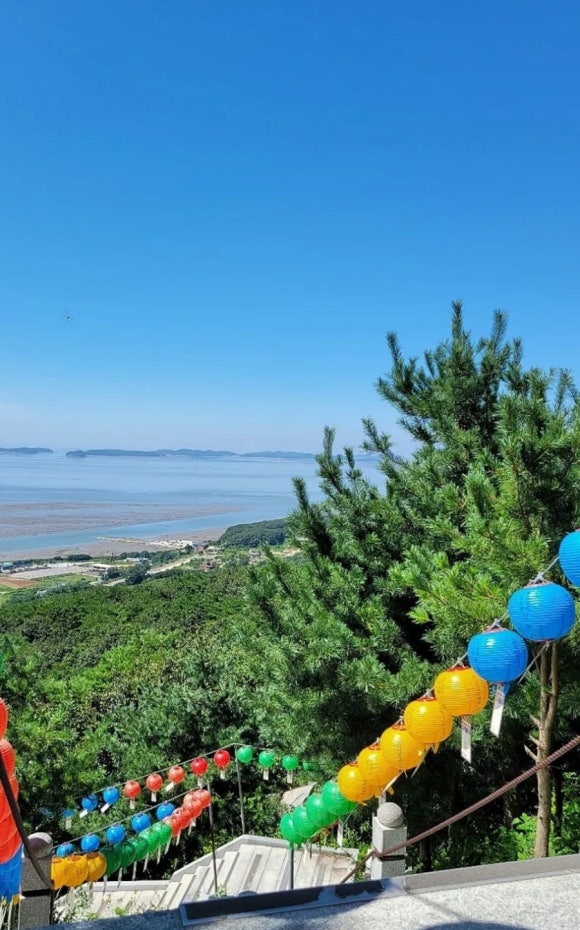 철없는 새우 이미지