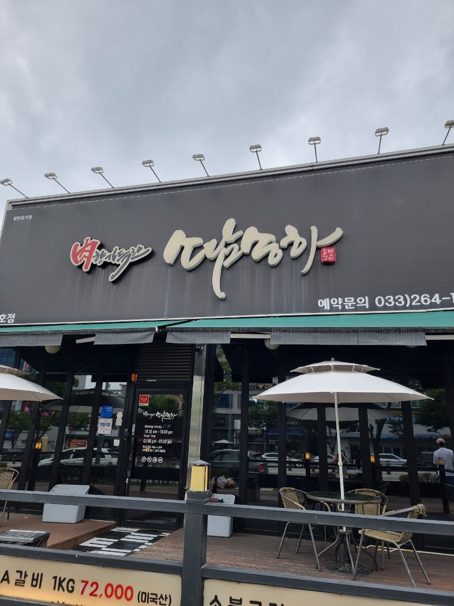 육향가득한소담송하 이미지