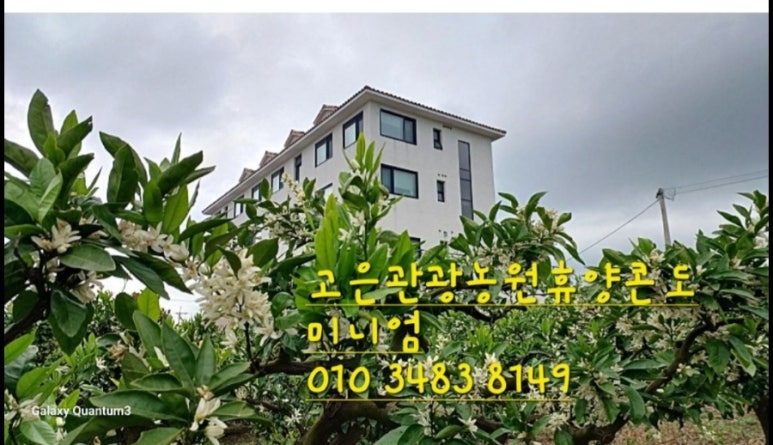 자올하우스 이미지