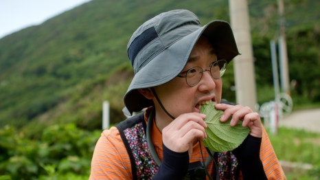 숨민박 이미지