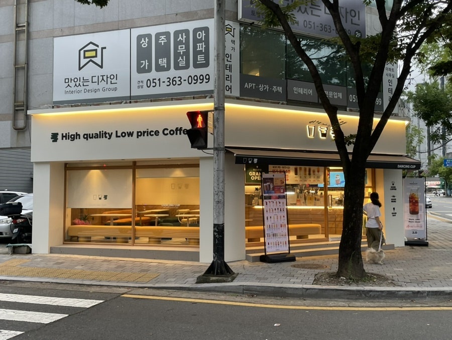 댄싱컵율리점 이미지