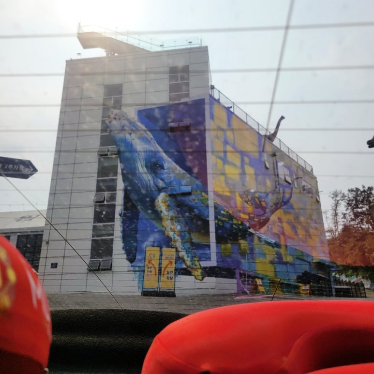 둘리수산 이미지