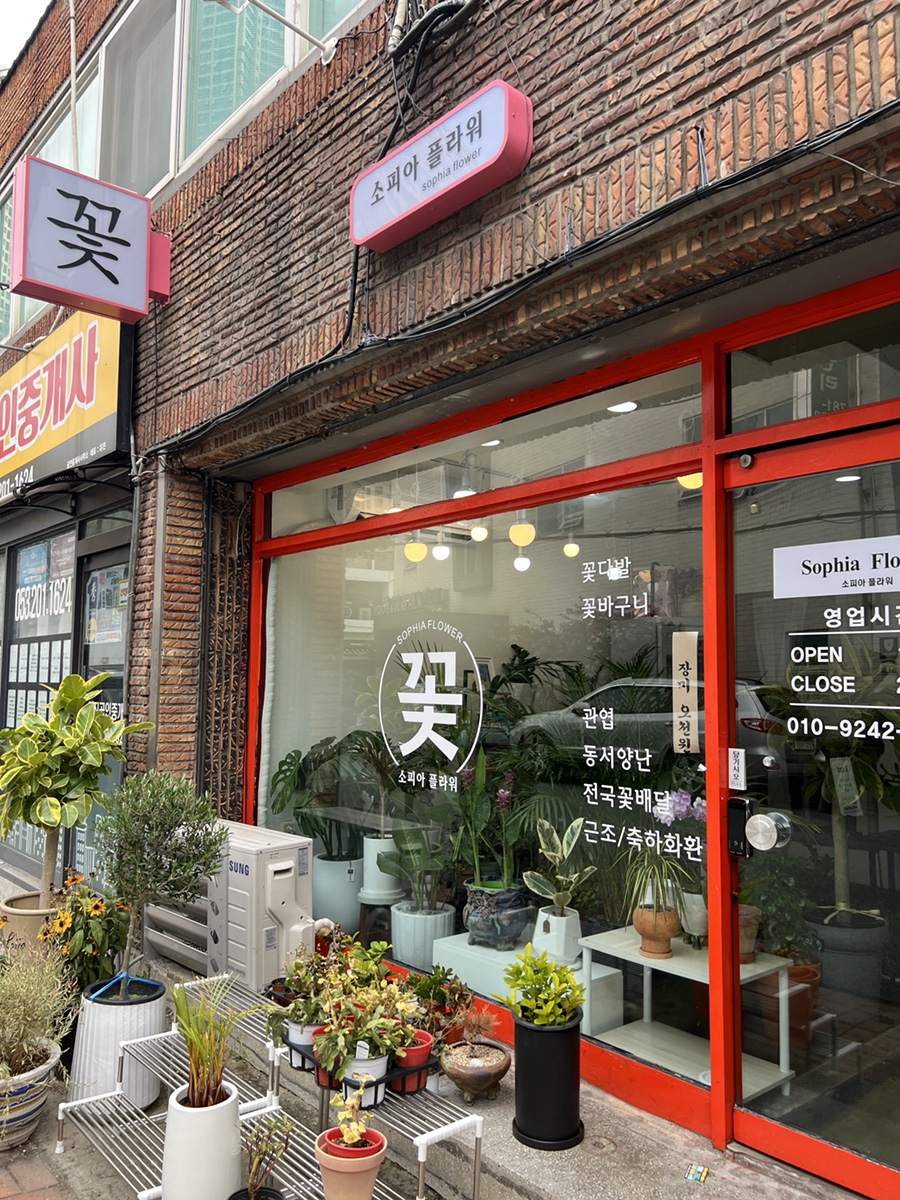 꽃집소피아 이미지