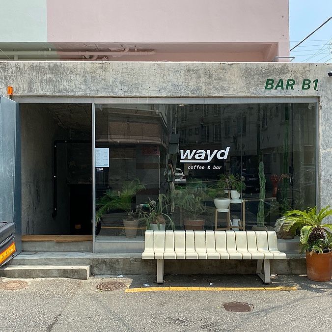 웨이드(wayd) 이미지