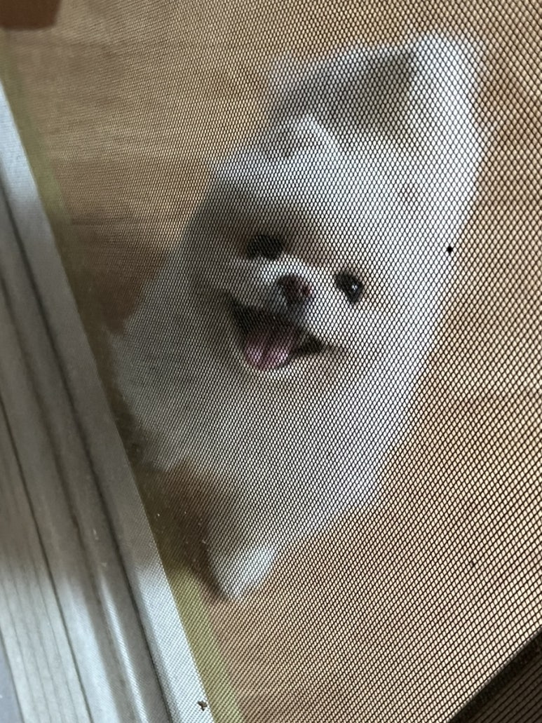 펜션허브빌 이미지